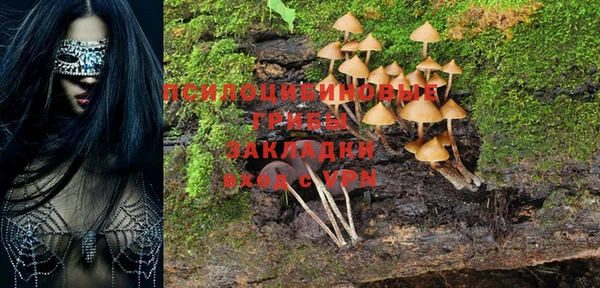 молекула духа Абдулино